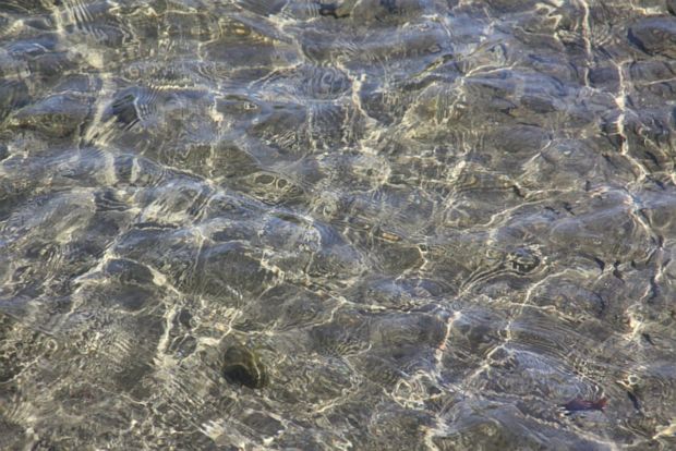 Photographie: ph_01.jpg