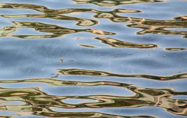 Photographie: ph_03.jpg