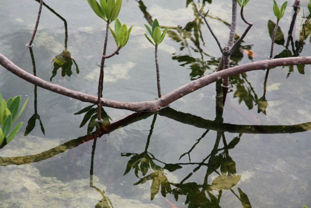 Photographie: ph_04.jpg