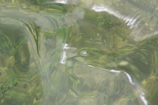 Photographie: ph_06.jpg